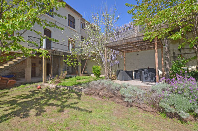 1358cafloweringtreeandhouse