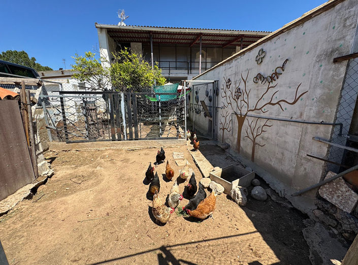 Image No.3-10 Bed Villa for sale