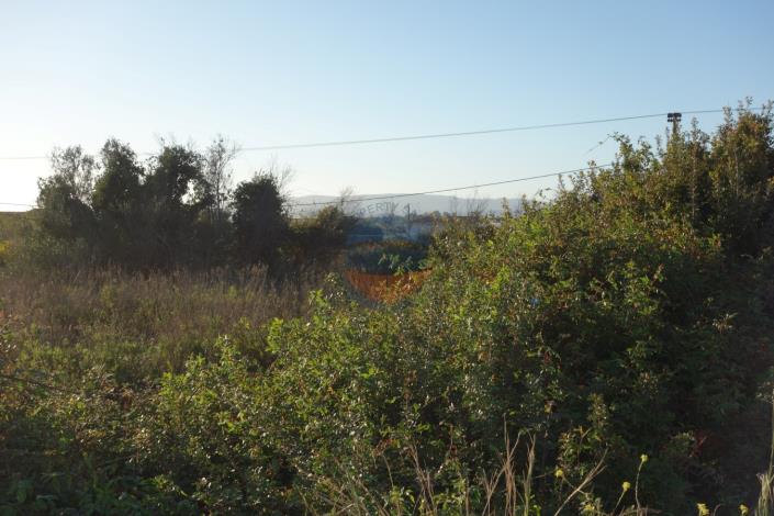 Image No.9-Land for sale