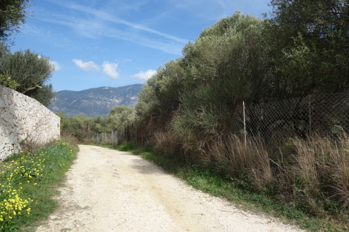 Image No.2-Land for sale