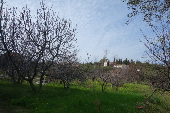 Image No.7-Land for sale