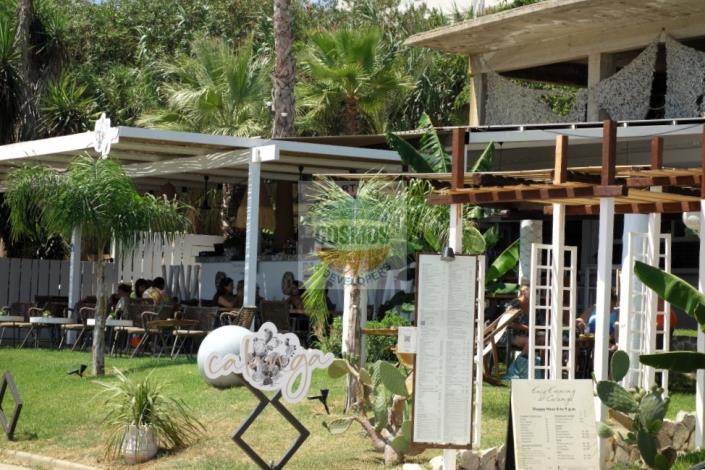 Image No.5-Bar for sale