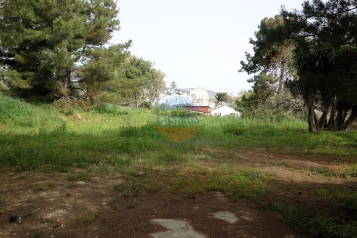 Image No.20-Bar for sale