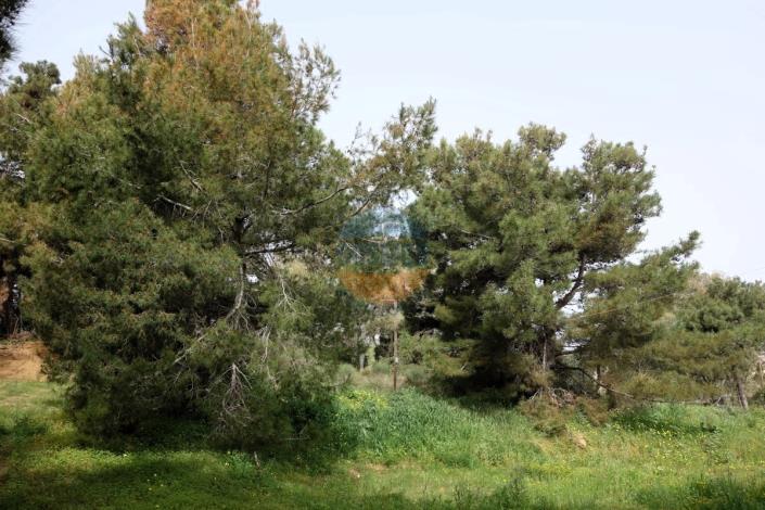 Image No.21-Bar for sale