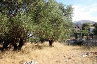 plot-for-sale-2