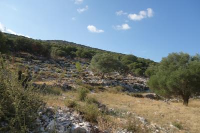 plot-for-sale-3