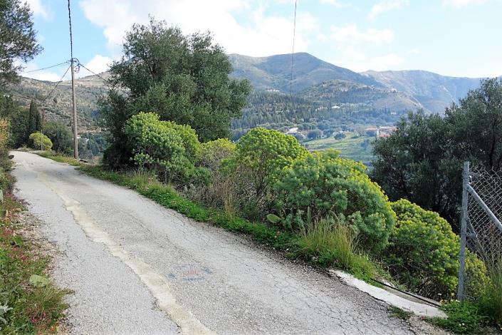 Image No.3-floorplan-3