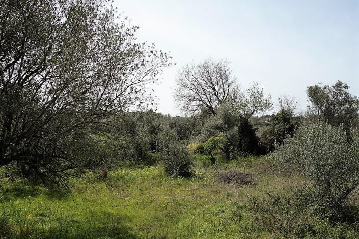 Image No.8-Plot for sale