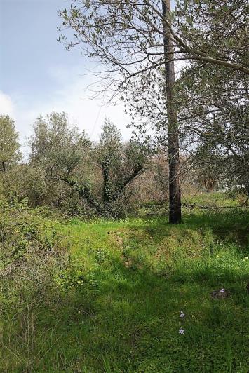 Image No.15-Plot for sale