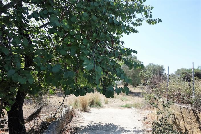 Image No.4-Plot for sale