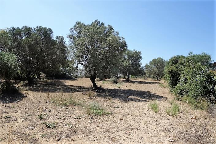 Image No.5-Plot for sale