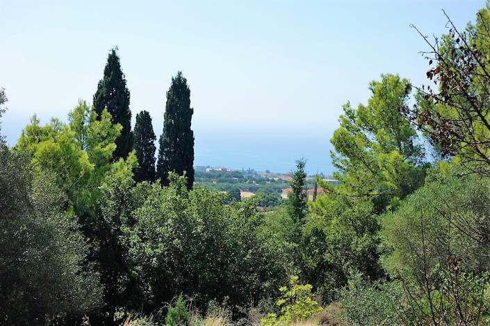 Image No.8-Plot for sale