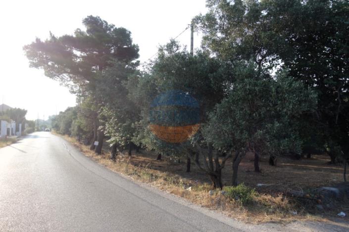 Image No.3-Plot for sale