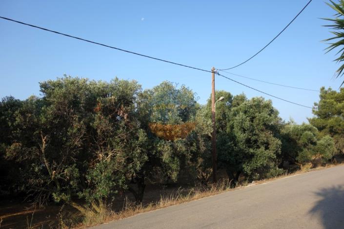 Image No.5-Plot for sale