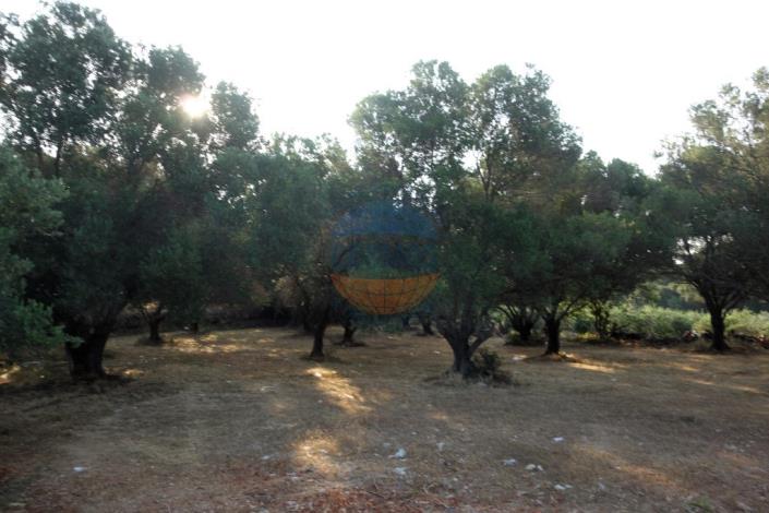 Image No.10-Plot for sale