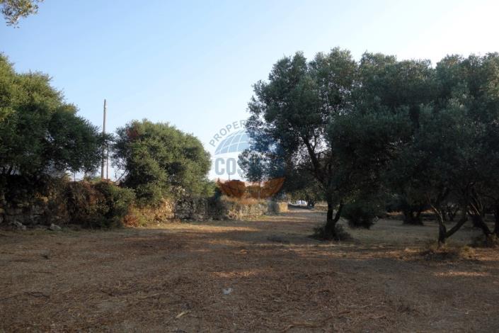 Image No.11-Plot for sale