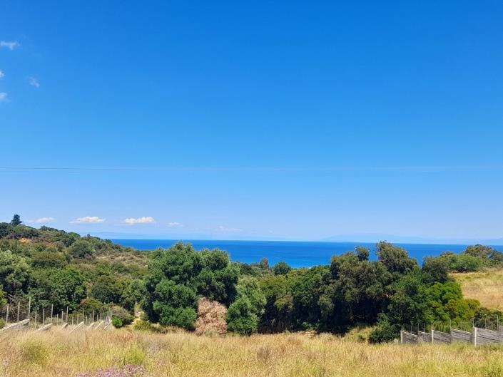 Image No.1-Land for sale