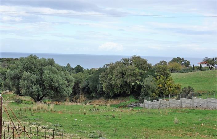 Image No.3-Land for sale