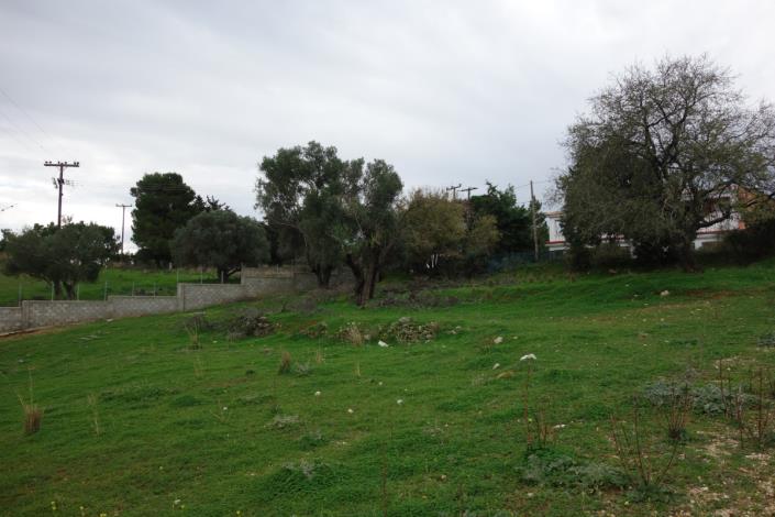 Image No.5-Land for sale