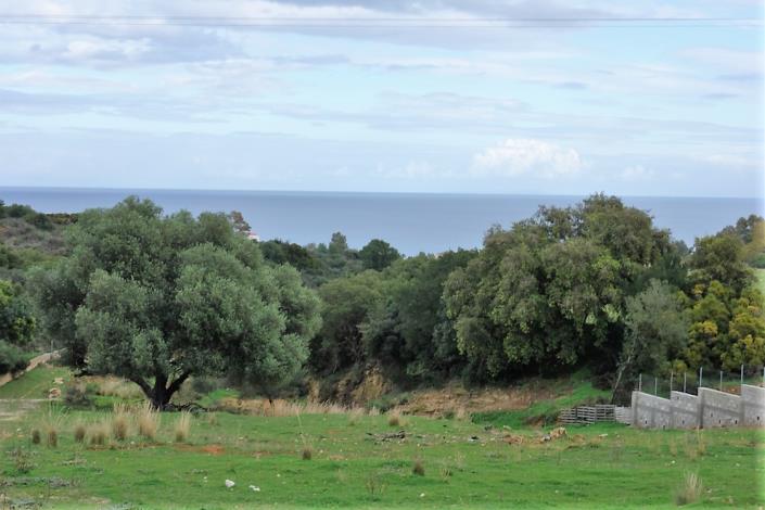 Image No.9-Land for sale