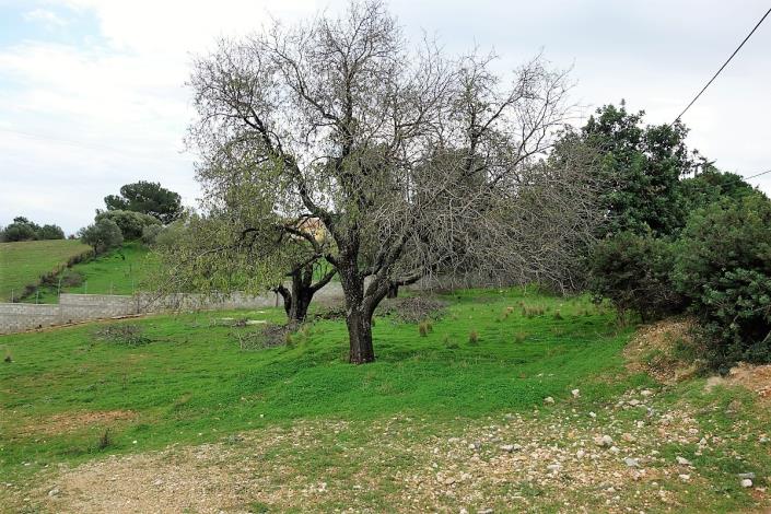 Image No.10-Land for sale