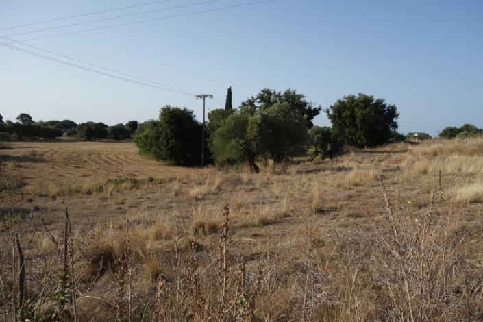 Image No.10-Plot for sale