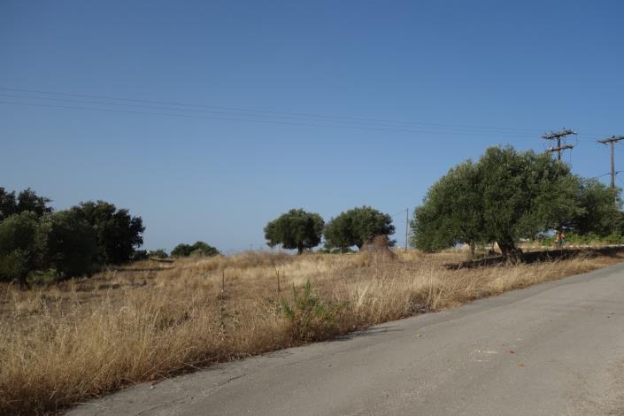 Image No.11-Plot for sale