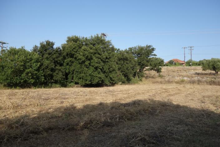 Image No.23-Plot for sale