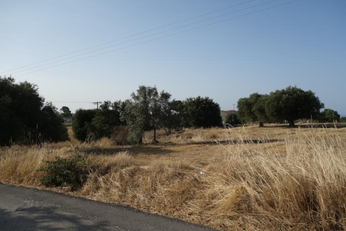 Image No.26-Plot for sale