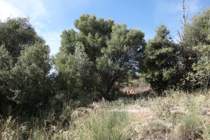 Image No.3-Land for sale