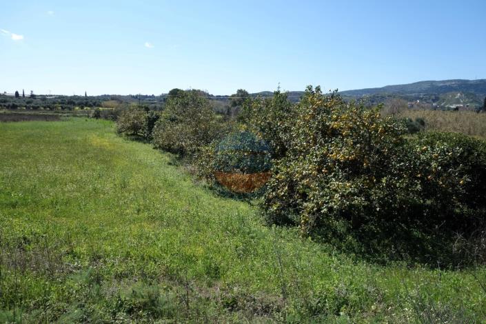 Image No.2-Land for sale