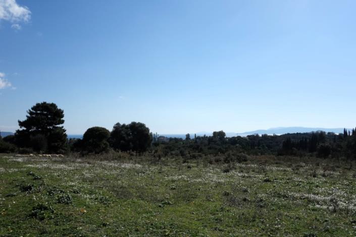 Image No.4-Land for sale