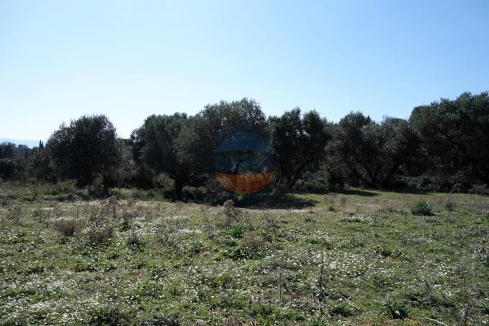 Image No.6-Land for sale