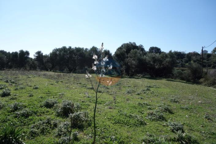 Image No.9-Land for sale