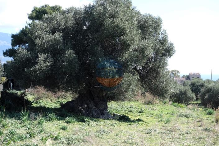 Image No.17-Land for sale