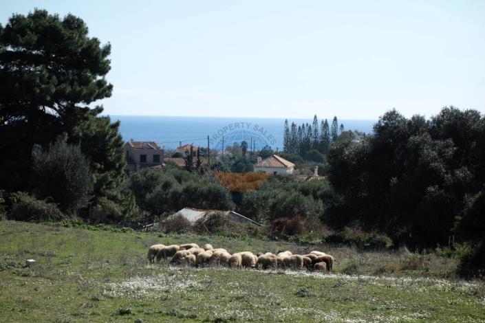 Image No.18-Land for sale