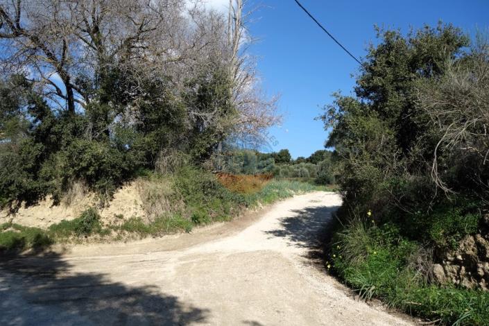 Image No.19-Land for sale