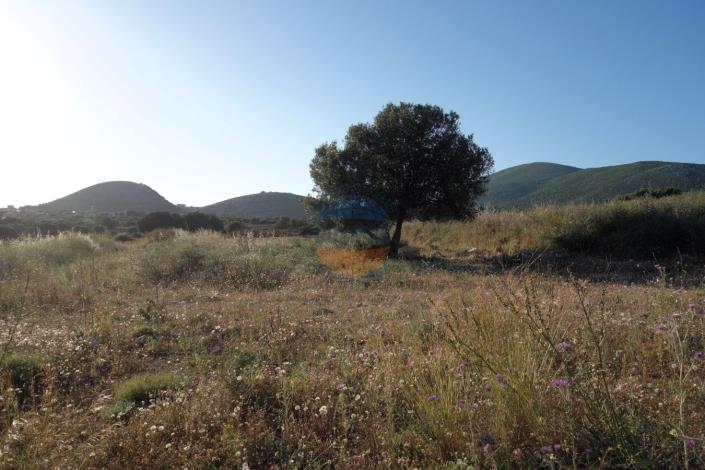 Image No.17-Land for sale