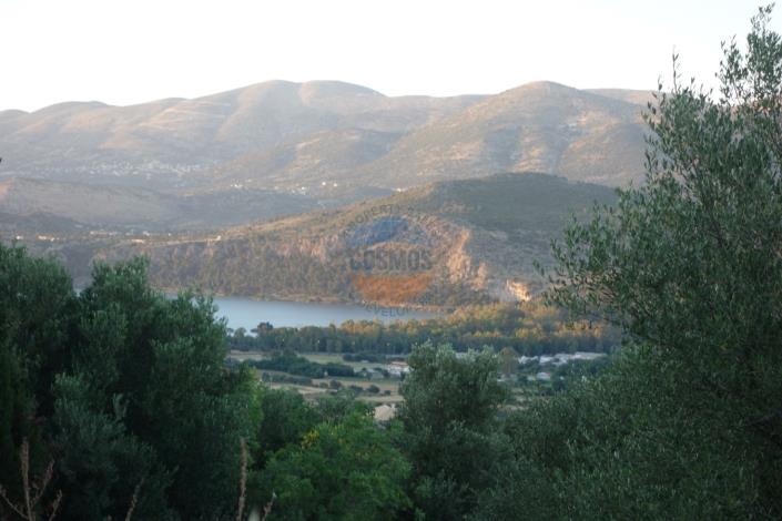 Image No.4-Plot for sale