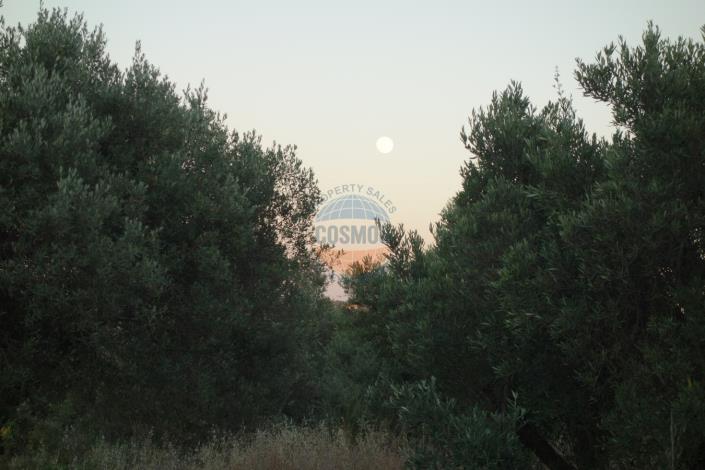 Image No.10-Plot for sale