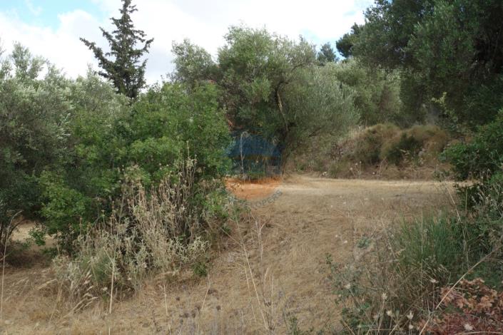 Image No.17-Plot for sale