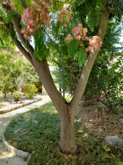 Image No.41-3 Bed House for sale