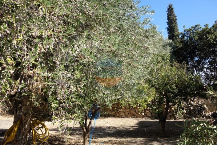 Image No.35-7 Bed Mansion for sale