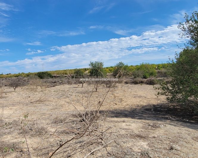 Image No.26-Property for sale