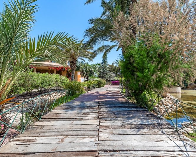 Image No.17-5 Bed Villa for sale