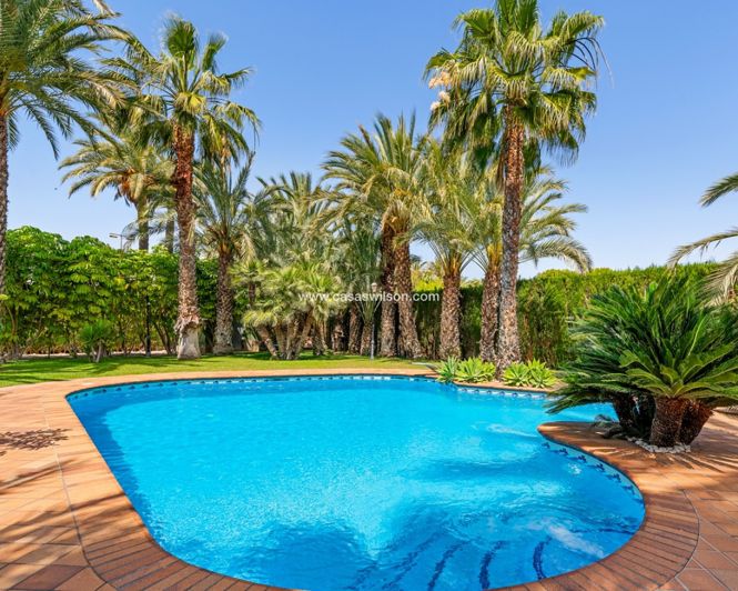 Image No.45-5 Bed Villa for sale