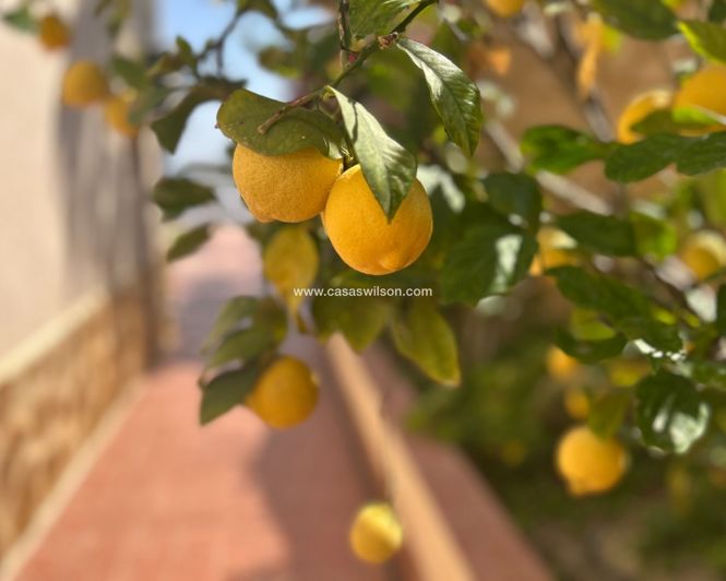 Image No.27-3 Bed Villa for sale