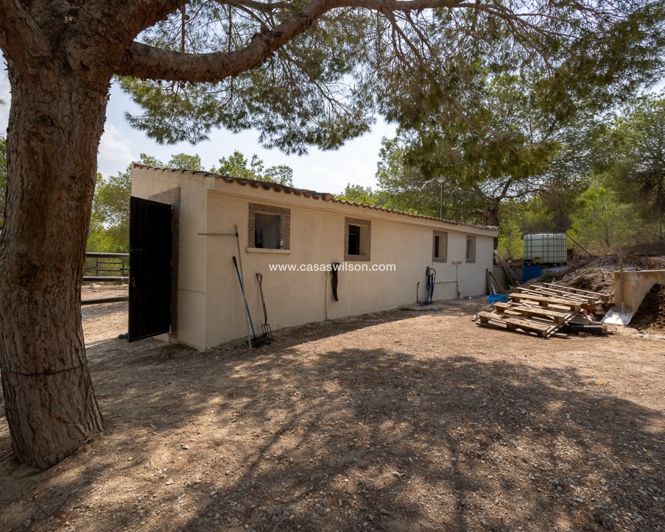 Image No.42-4 Bed Property for sale