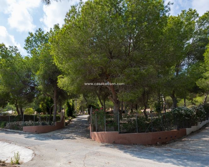 Image No.50-4 Bed Property for sale