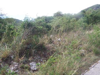 Image No.4-Land for sale